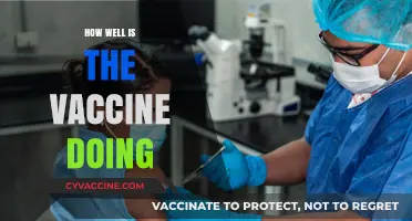 Vaccine Efficacy: A Comprehensive Update on Its Performance