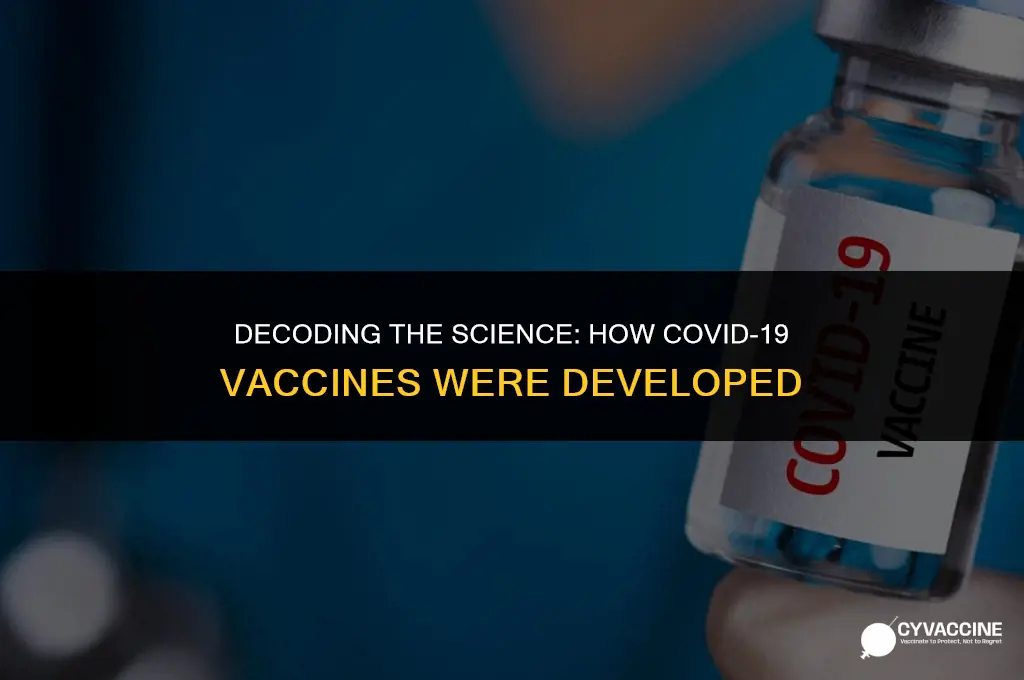 how were the covide vaccines developed