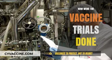Unveiling the Rigor: A Deep Dive into COVID-19 Vaccine Trials