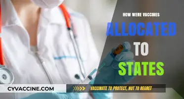 Equitable Distribution: How COVID-19 Vaccines Were Allocated to States
