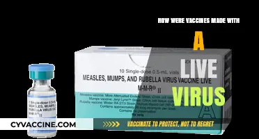 Live Virus Vaccines: The Science Behind Their Creation and Safety