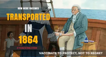 Navigating the Logistics of Vaccine Transport in 1864