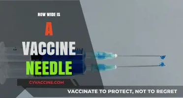 Understanding Vaccine Needle Sizes: A Comprehensive Guide