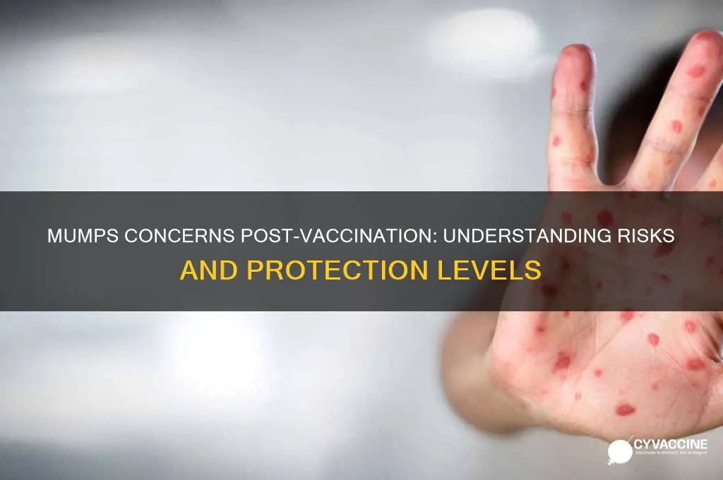 how worried should i be about mumps if vaccinated