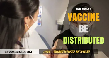 Efficient Vaccine Distribution: A Comprehensive Guide