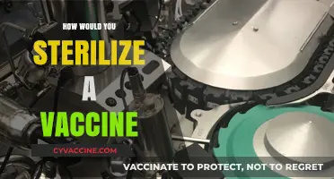 Ensuring Vaccine Safety: A Comprehensive Guide to Sterilization Methods