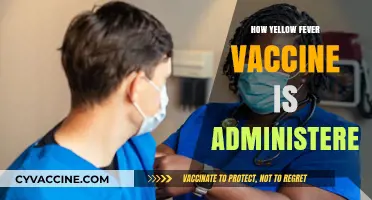 Understanding Yellow Fever Vaccination: A Comprehensive Guide