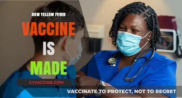 Unveiling the Process: How Yellow Fever Vaccine is Manufactured