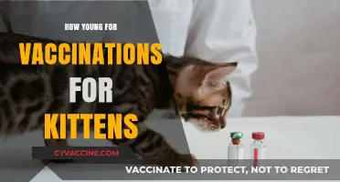 Vaccination Essentials: Protecting Your Kitten's Health from an Early Age