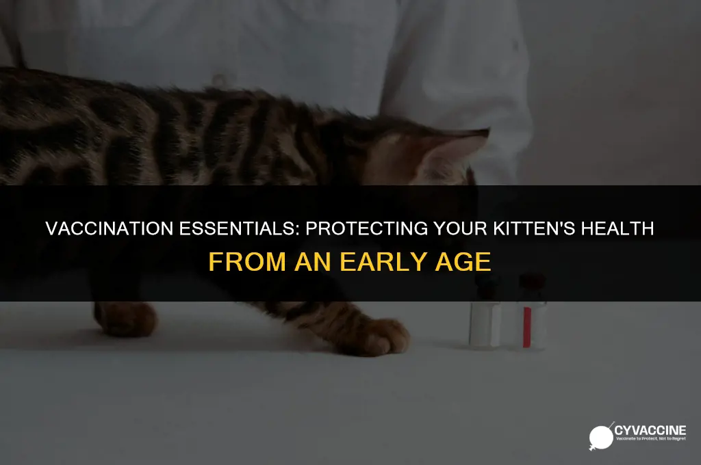 how young for vaccinations for kittens