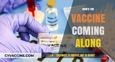 Vaccine Progress Update: A Comprehensive Overview of Current Developments
