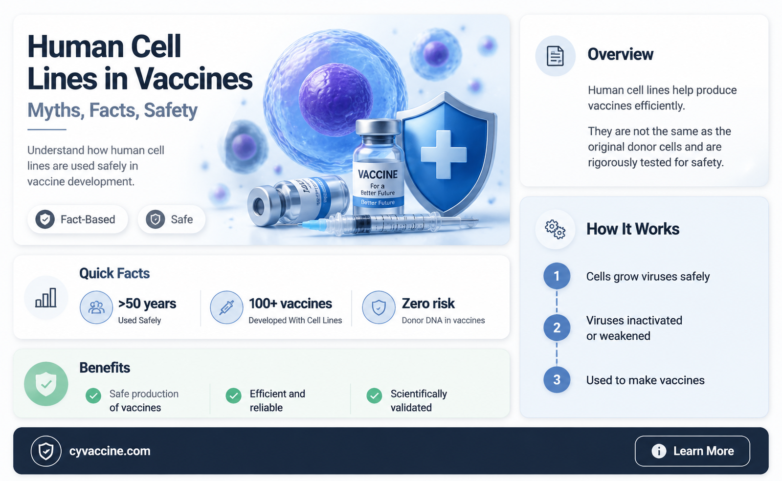 are human cell lines in vaccines
