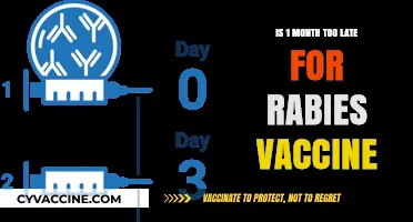 Is One Month Too Late for Rabies Vaccination? Expert Insights