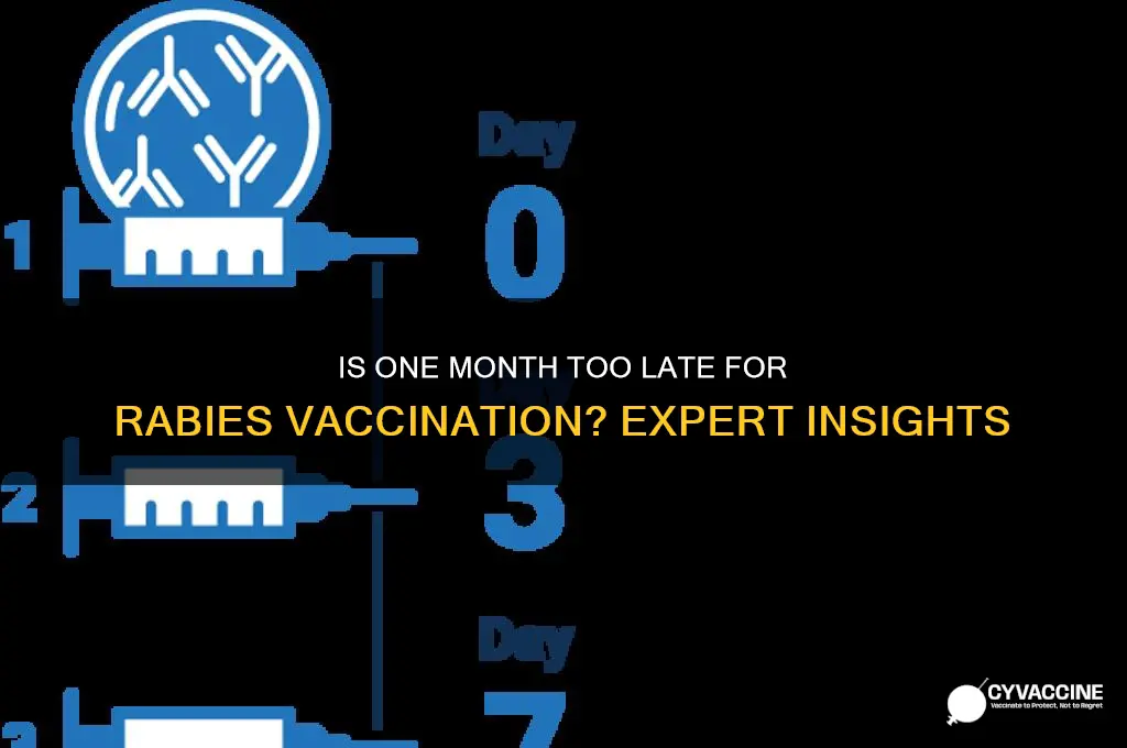 is 1 month too late for rabies vaccine