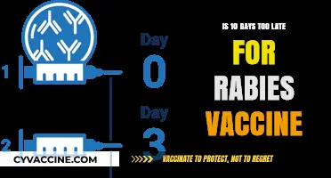 Rabies Vaccine Timing: Is 10 Days Post-Exposure Too Late?