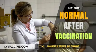 Understanding Fever Responses Post-Vaccination: What's Normal?