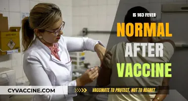 Understanding Fever Responses Post-Vaccination: What's Normal?
