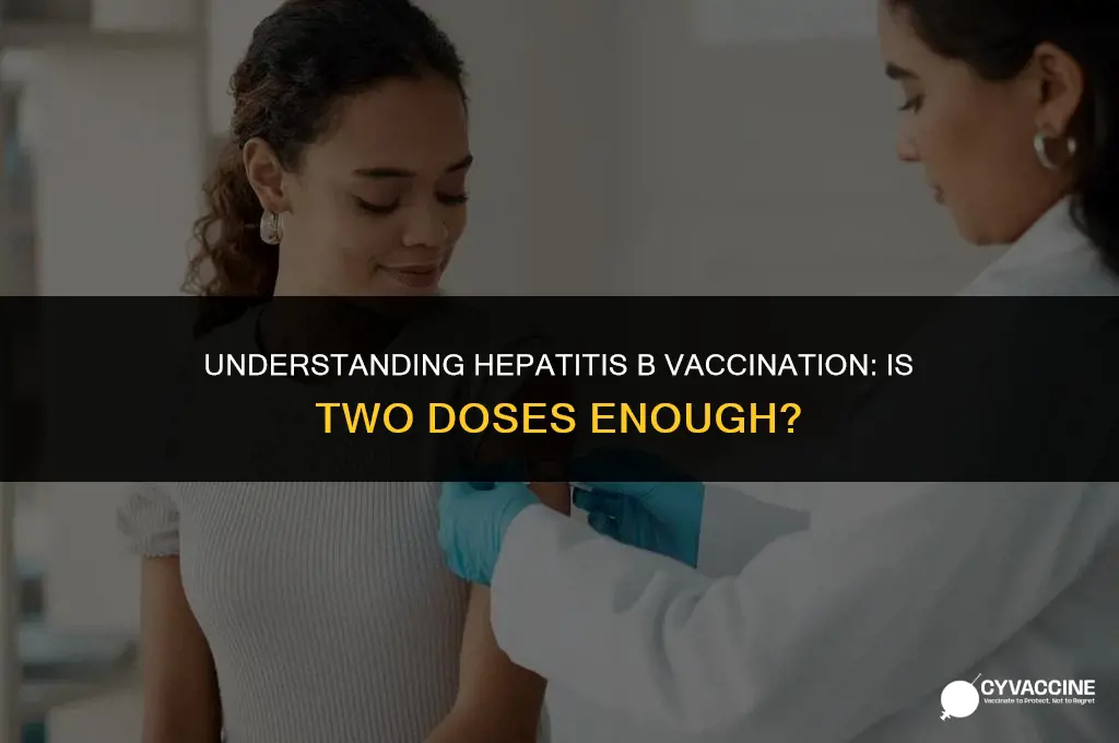 is 2 hep b vaccines enough