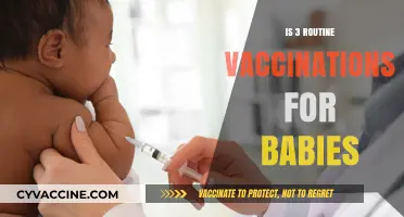 Essential Baby Vaccinations: A Guide to the First Three Shots