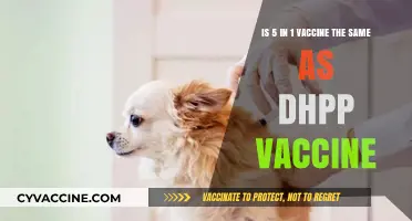 Understanding the Difference: 5-in-1 vs. DHPP Vaccine for Pets