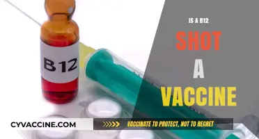 Debunking Myths: The Truth About B12 Shots and Vaccines