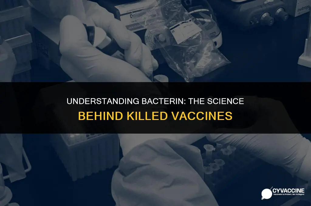 is a bacterin a killed vaccine