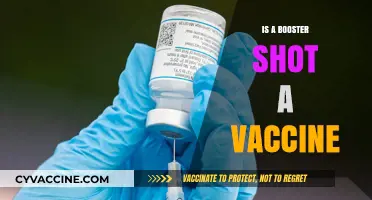 Understanding Booster Shots: Are They Vaccines?