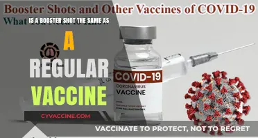 Booster Shots vs. Regular Vaccines: Understanding the Key Differences