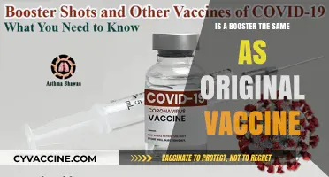 Booster vs. Original Vaccine: Understanding the Key Differences