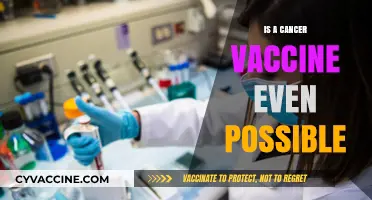 Exploring the Feasibility of a Cancer Vaccine: Hope or Hype?