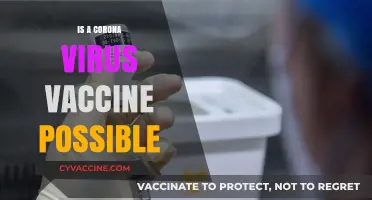Exploring the Feasibility of a Coronavirus Vaccine: A Scientific Journey