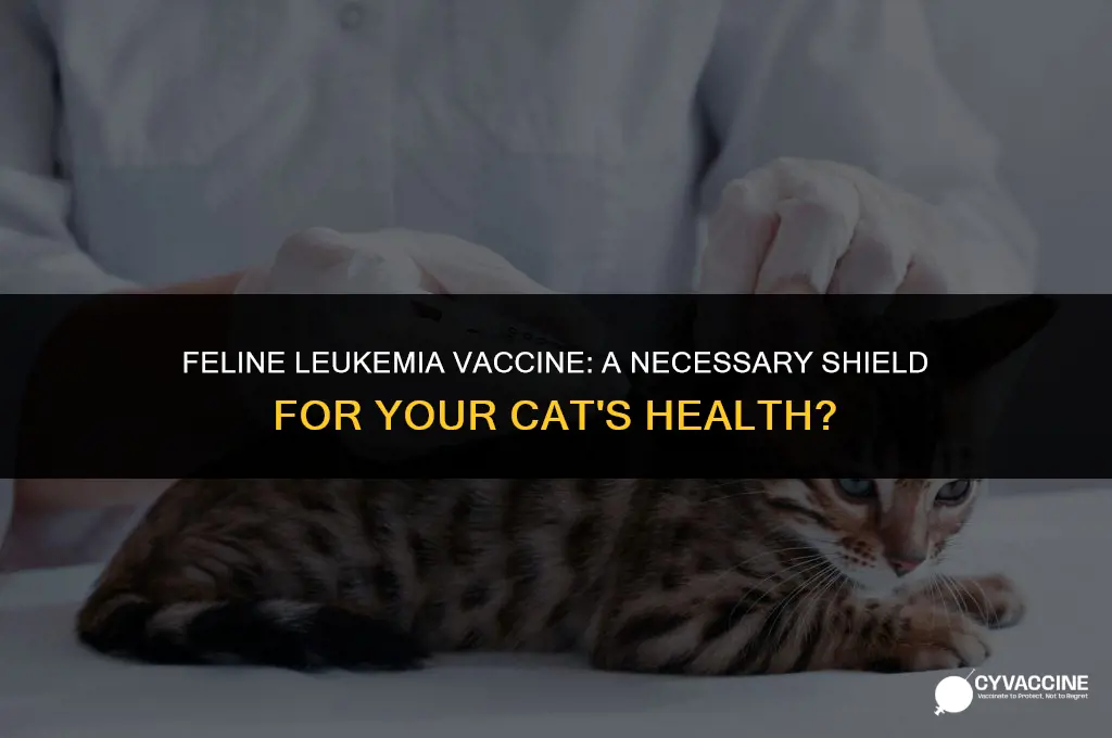 is a feline leukemia vaccine necessary