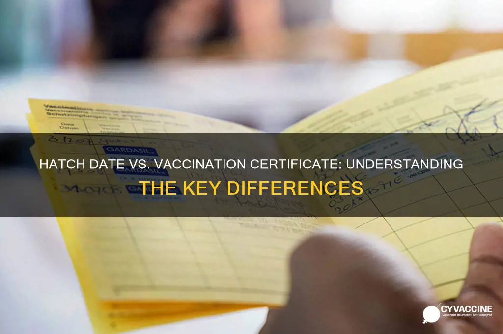 is a hatch date the same as a vaccination certificate