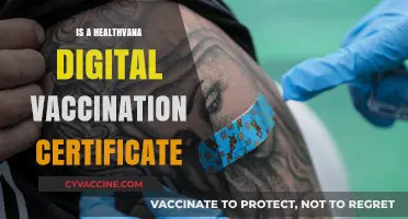 Exploring Healthvana: The Rise of Digital Vaccination Certificates