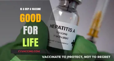 Hepatitis A Vaccine: Lifelong Immunity or Periodic Booster Needed?