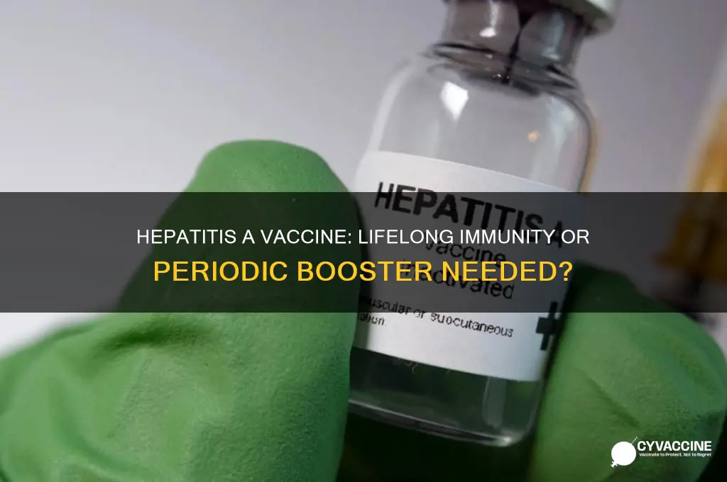 is a hep a vaccine good for life