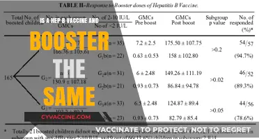 Hepatitis B Vaccine vs. Booster: Understanding the Key Differences