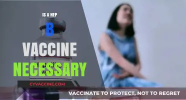 Exploring the Importance of Hepatitis B Vaccination: A Comprehensive Guide