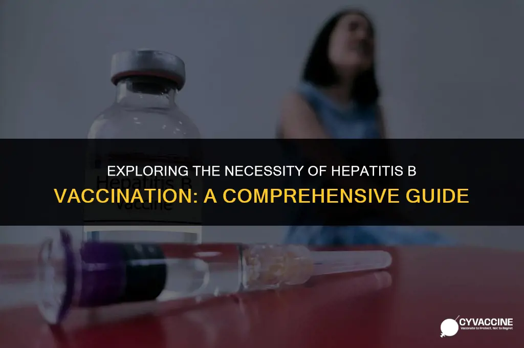 is a hepatitis b vaccine necessary