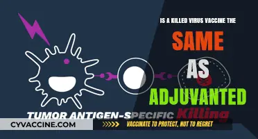 Killed Virus Vaccines vs. Adjuvanted: Understanding the Key Differences