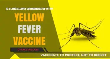 Latex Allergy and Yellow Fever Vaccine: Contraindication Concerns Explained