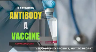 Understanding Monoclonal Antibodies: Are They Vaccines?