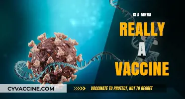 Decoding mRNA: Understanding the Science Behind the Vaccine Debate