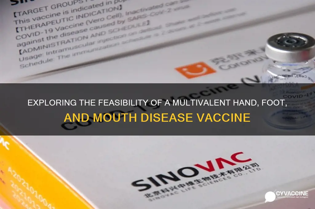 is a multivalent hand foot and mouth disease vaccine feasible