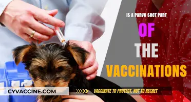 Is Parvo Included in Your Pet's Vaccination Schedule?