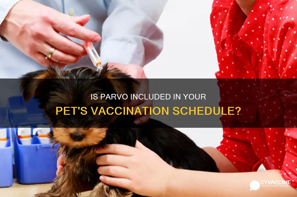 is a parvo shot part of the vaccinations