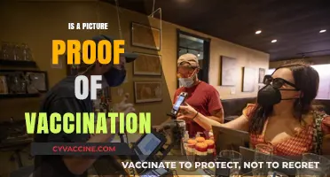 Visual Evidence: Can a Picture Serve as Proof of Vaccination?
