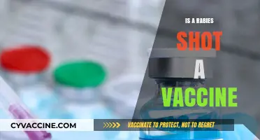 Understanding Rabies Shots: Are They Vaccines?