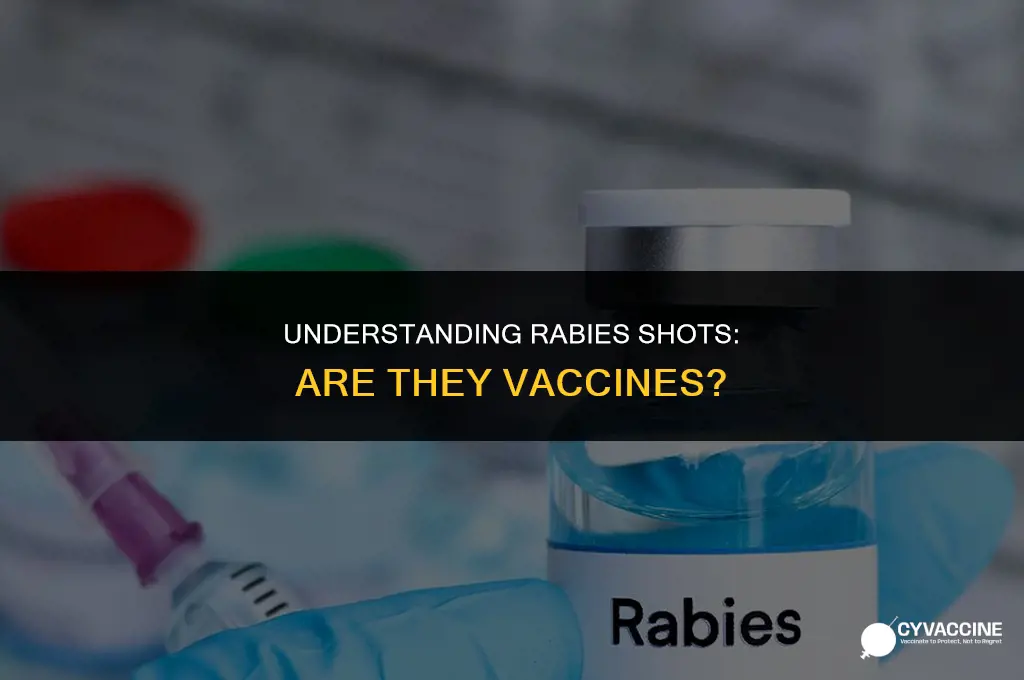 is a rabies shot a vaccine
