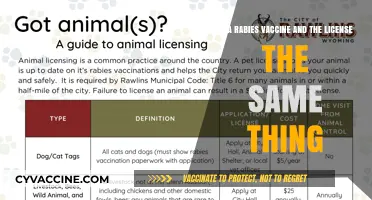 Rabies Vaccine vs. License: Understanding the Key Differences